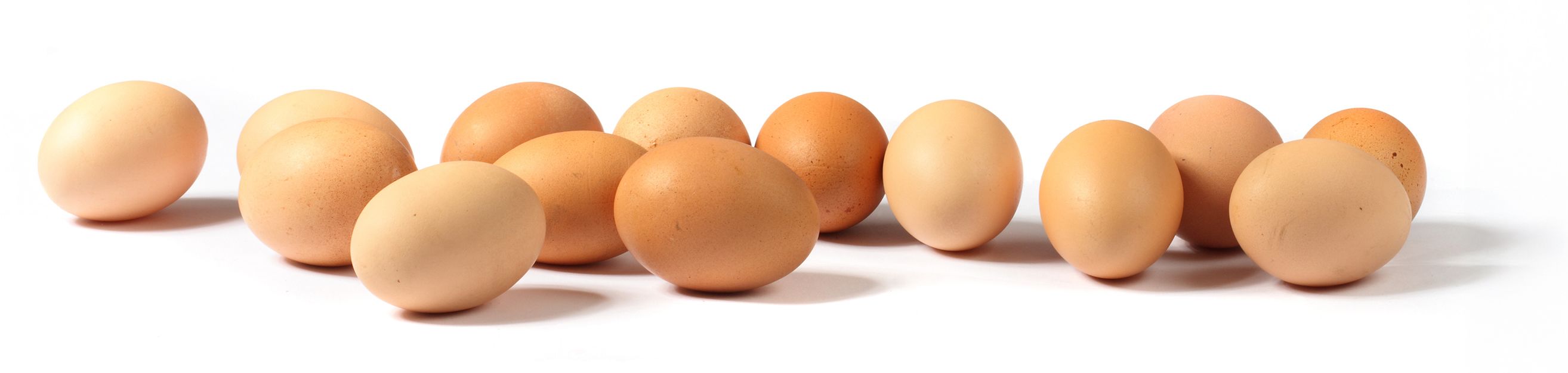 Photo of an assortment of brown eggs